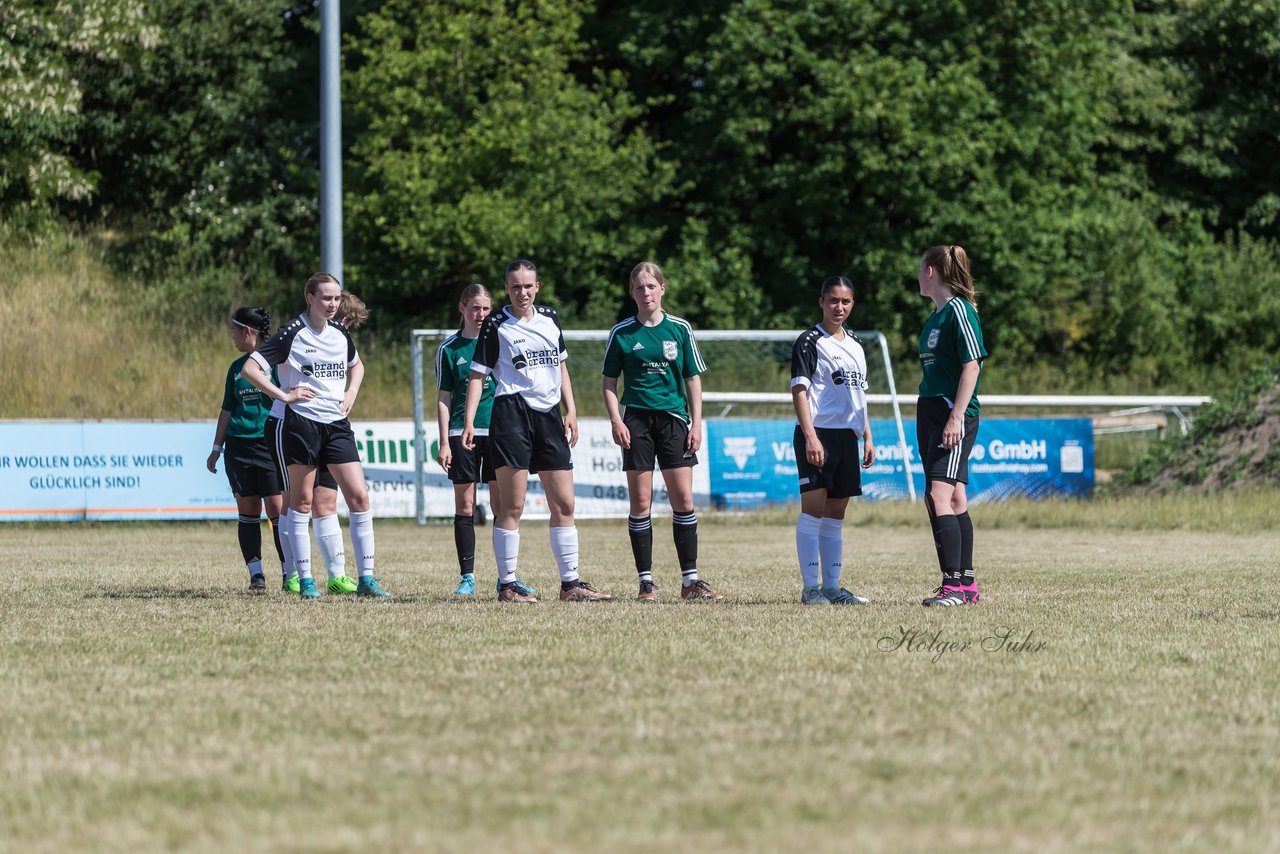 Bild 181 - wBJ TuRa Meldorf/Buesum - JFV Luebeck : Ergebnis: 1:0